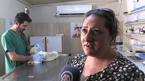 Sokakta bulunan 'Benjamin'i öğrencilere emanet