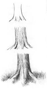 Du kannst deinen baumstamm so gerade oder krumm machen, wie du möchtest. Graphite Pencil Drawings By Diane Wright Realistic Drawings Tree Drawing Drawing Techniques
