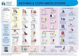 Image result for Medications in COPD Management