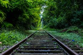 Image result for photo
