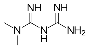 Metformin Wikipedia