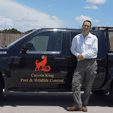 We are located in seattle texas pest service. The 10 Best Exterminators In Round Rock Tx With Free Estimates