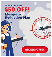 See the answers, explore popular topics and discover unique insights from all pro pest services employees. Pest Control Services In Georgia All Pro Pest Services Home