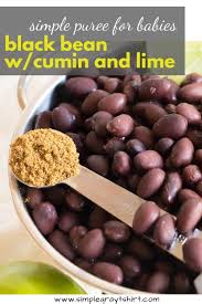 Black Beans For Baby Food Purees 101 Black Beans Baby Food Recipes Food Baby Puree Recipes