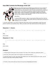 We'll track players' scores to their emails, names or another identifier of your choice. Ap Biology 031 Gene Regulation Quizlet Gene Regulation Is How We Express