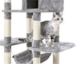 ¿por qué es tan importante jugar con un gato de interior? Pin En Chapitas