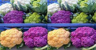 We did not find results for: Kembang Kol Warna Warni Sayuran Menarik Untuk Masakan Okezone Lifestyle