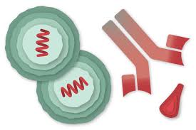 Cómo se compara la de johnson & johnson con otras vacunas para. Que Vacuna Debo Ponerme The New York Times