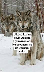 Cengaver Kaplan Adli Kullanicinin On Numara Bes Yildiz Panosundaki Pin Turkler Yildiz Galeri