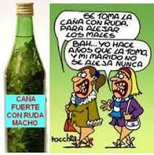 Para preparar la caña con ruda por lo general se usa la ruda macho, que tiene las hojas más anchas, porque se le atribuyen mayores propiedades y un aroma más intenso. Pin En Bien Argentino
