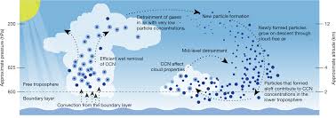A Large Source Of Cloud Condensation Nuclei From New