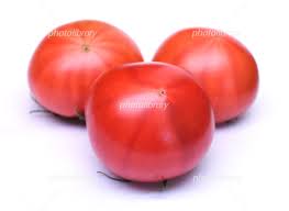 フォトライブラリー