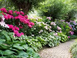 Companions For Azaleas And Rhododendrons What To Plant With Rhododendron Bushes In 2020 Azaleas Landscaping Hedges Landscaping Azaleas Garden