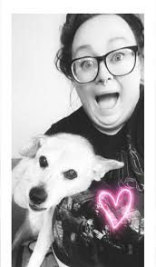 Warning about Ellie in Lima, Ohio pet rehoming