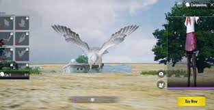Pubg Sahin Yerleri 2021 Rehber Kartal Kule