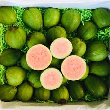 Jetzt neu oder gebraucht kaufen. Pink Guava Order Your Fresh Pink Guava From Tropical Fruit Box