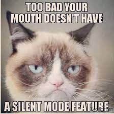 Tardar Grumpy Cat Funny Grumpy Cat Memes Grumpy Cat Quotes