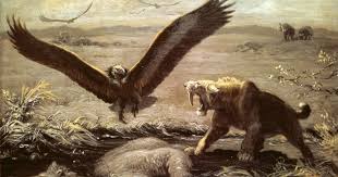 Image result for Pteris atrovirens