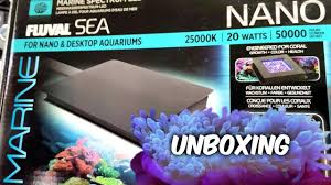 Aquariums Unboxing Fluval Sea Nano Led Light Brand New Bubble Tip Anemone Aquarium A1aadventures Addinganemonetotank Bubble Tip Anemone Anemone Bubbles