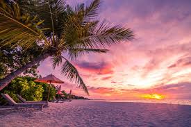 If you're in search of the best sunset beach wallpaper, you've come to the right place. Tropical Beach Sunset Background 1600x1067 Wallpaper Teahub Io