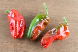 The padron is quite obviously from spain. Padron Peppers Pimiento De Padron Chili Pepper Madness