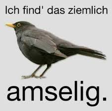 Chill Dein Leben Home Facebook