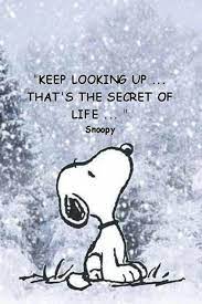 Keep Looking Up That S The Secret To Life Snoopy Quotes Positive Quotes For Life December Quotes