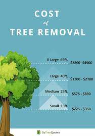Cost Of Tree Removal Infographic Tree Removal Cost Tree Removal Tree Trimming Cost