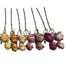 Our dried flowers for sale make phenomenal choices for decorating hallway tables, dinner tables, kitchen countertops, and windowsills. China Dried Flowers Dried Flowers Wholesale Manufacturers Price Made In China Com