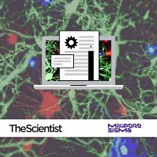 Maybe you would like to learn more about one of these? A Better Hydrogel For 3d Cell Culture The Scientist Magazine