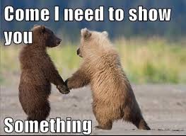 Funny one line jokes about anything, that is short to tell. 182 Funny Clean Jokes That Are Good For Adults And Kids