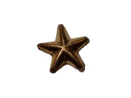 If you like les petites étoiles, you may also like Petites Etoiles Dorees Boutique Scouts Du Canada