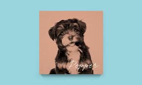 We did not find results for: Pet Portraits Canvaspop