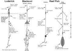 Maybe you would like to learn more about one of these? How To Rig For Saltwater Pier Fishing Google Search Fishing Rigs Fishing Tips Saltwater Fishing
