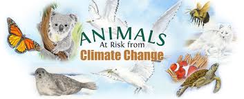 Climate variables are able to. Animals Affected By Climate Change Animals Affected By Climate Change