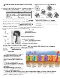 Florida standards assessment (fsa) geometry eoc: Biology Eoc Reviews Worksheets Teaching Resources Tpt