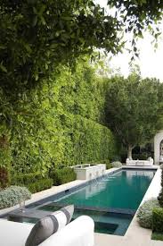 Haie De Troene Pour Un Exterieur Tout Naturel Backyard Pool Pool Landscape Design Pool Patio
