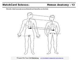 Factors that contribute to health. Human Body For Kids Human Body Science Science Projects For Kids Human Body Systems