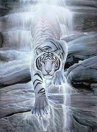  Pin Oleh Kathy Jo Di Wolves Tiger S Lion S And Bear S By K O Di 2020 Harimau Putih Binatang Binatang Buas