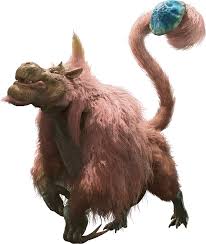 Image result for Hunteria congolana