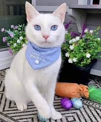 happy birthday 🎂 🥳 💓💗!