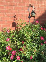 You must have lived in Sumrall if you remember.....