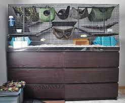 You can just keep rats in your clothes, but that's not for everybody: Diy Rat Cage Album On Imgur