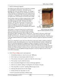If you make a good… at the interview, you will get the job. Soils True Or False