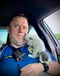 Police officers rescue kittens from under car