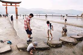 Tapi sebaiknya anda cek lebih dahulu jadwal pasang surut yang tersedia di dekat resepsionis kuil itsukushima. Weltkulturerbe Und Hirsche Auf Miyajima Travelisto Familien Reiseblog