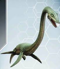 Image result for Elasmosaurus
