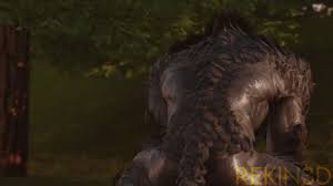 Elf x werewolf rekin3d