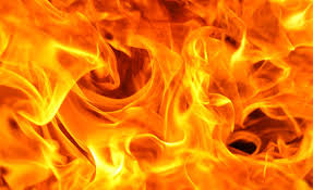 Sia] in flames in flames go, go, go figure it out, figure it out, but don't stop moving go, go, go figure it out, figure it out, you can do this. Flames Not The Only Danger From Wildfires 2020 01 15 Ishn