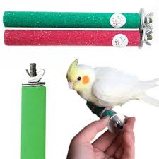 Petbirdsupplies Supplies Grinding Perches Branch Budgie Parrot Stick Stand Bird Cage Paw Bar Petparrot Pet Birds Parrots Pet Bird Cage Bird Toys